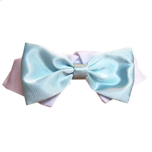 Aqua Satin Dog Bow Tie Collar