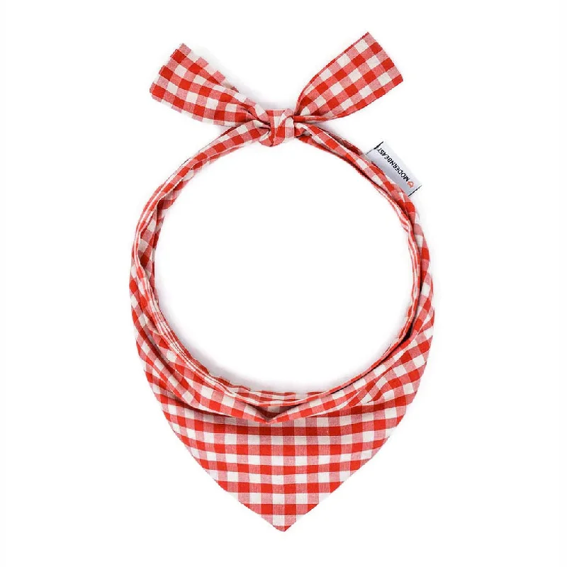 Dog Neckwear Rust Gingham