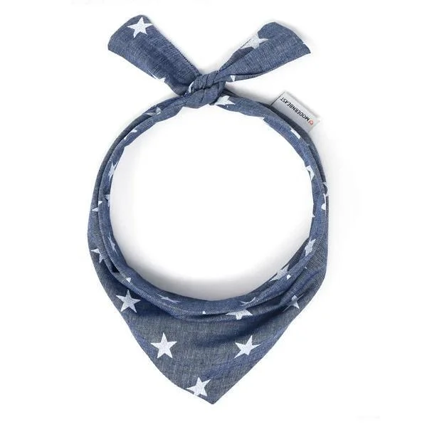 Dog Neckwear Stargazing