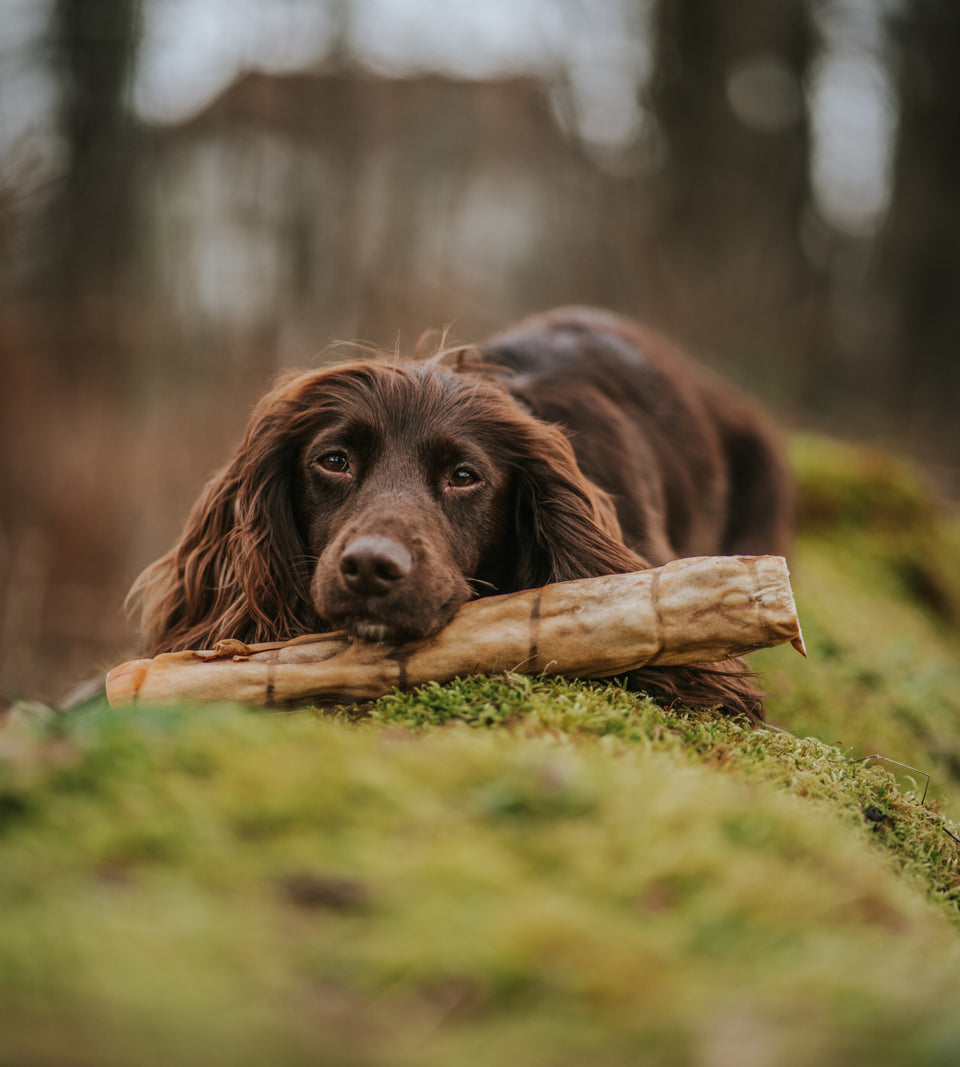 ANCO Natural Goat Roll Large Dog Chew