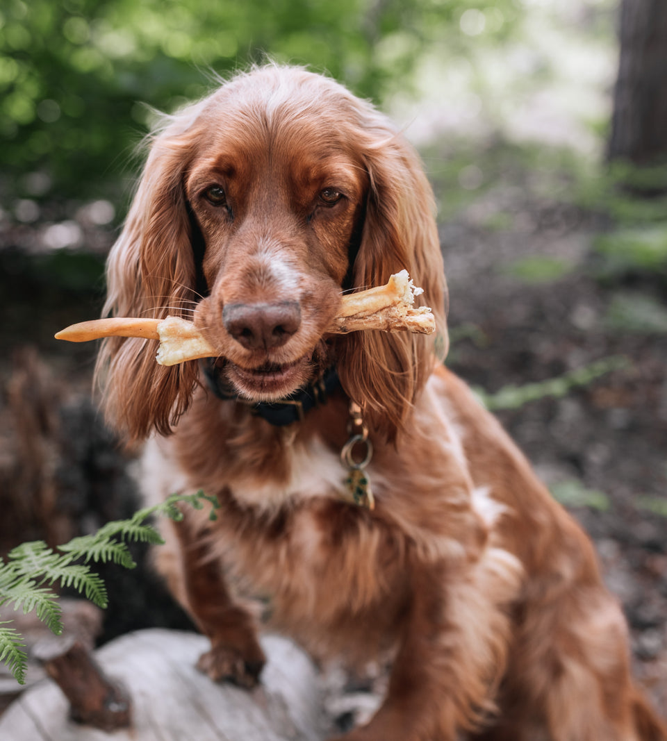 Anco Naturals Lamb Tail Dog Chew