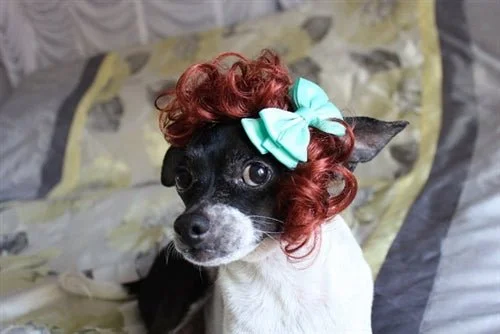 Burgundy Curly Wig with Bow