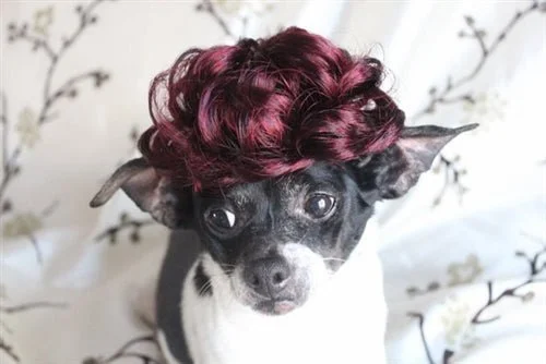 Burgundy Curly Wig