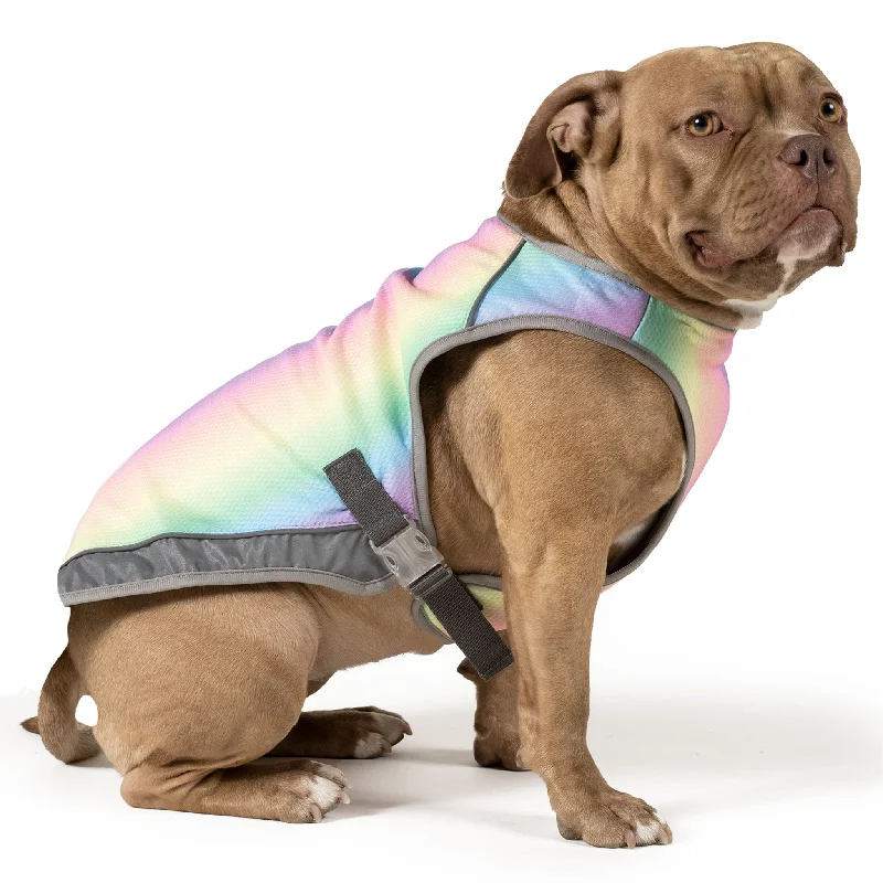 Canada Pooch Chill Seeker Rainbow Cooling Dog Vest