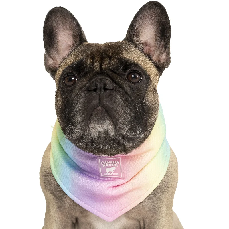 Canada Pooch Cooling Rainbow Dog Bandana