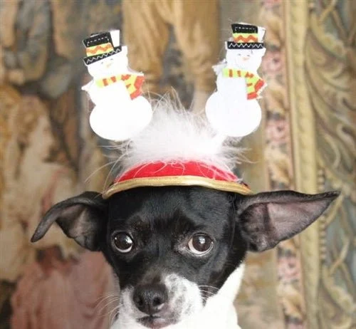 Christmas Snowman Hat - Cat or Dog