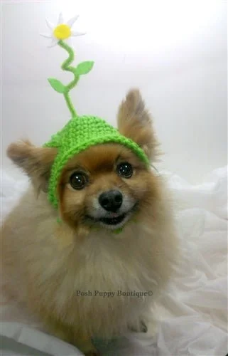 Crochet White Springtime Flower Beanie Hat in Many Colors