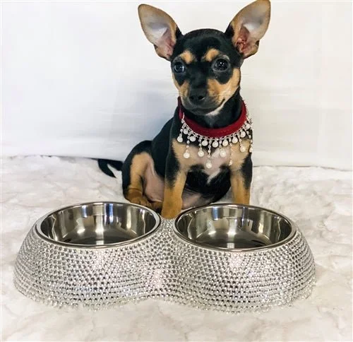 Crystal Dining Bowls in Silver