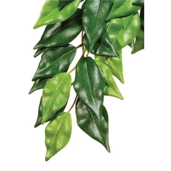 Exo Terra Forest Plant Ficus Large