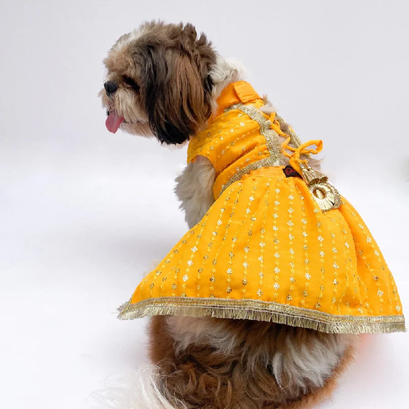 Pawgypets Festive Lehenga for Dogs and Cats (Yellow)