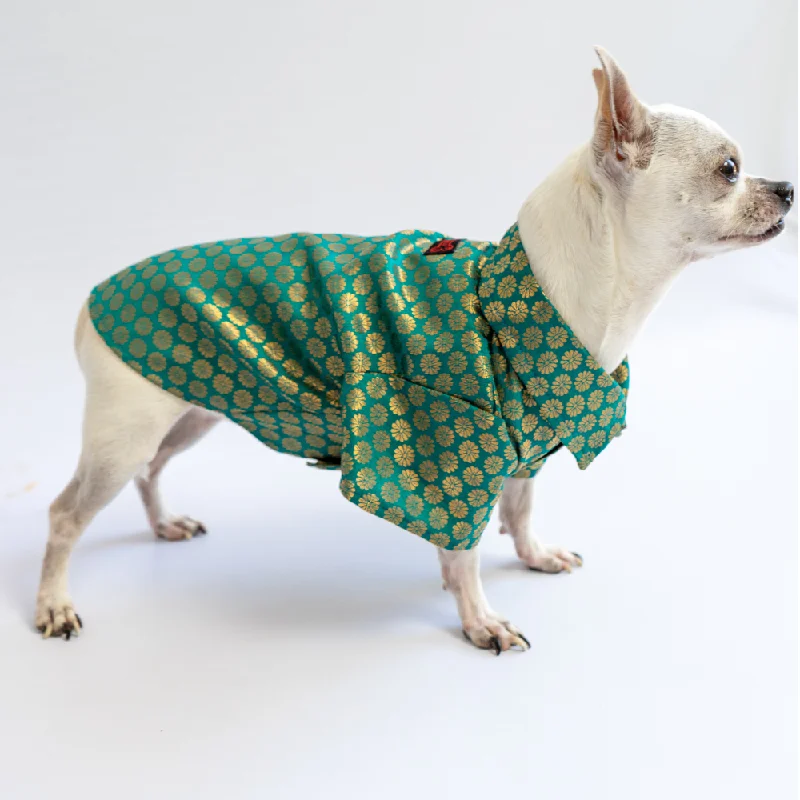 Pawgypets Occasion Wear Shirt for Dogs and Cats (Teal Blue)