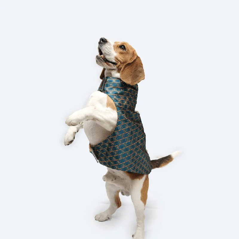 Pawgypets Strapy Sherwani for Dogs and Cats (Peacock Blue)