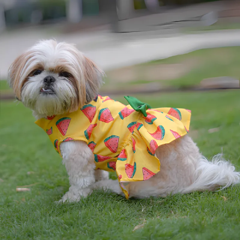 Pawgypets Watermelon Surgar Dress for Dogs (Yellow)