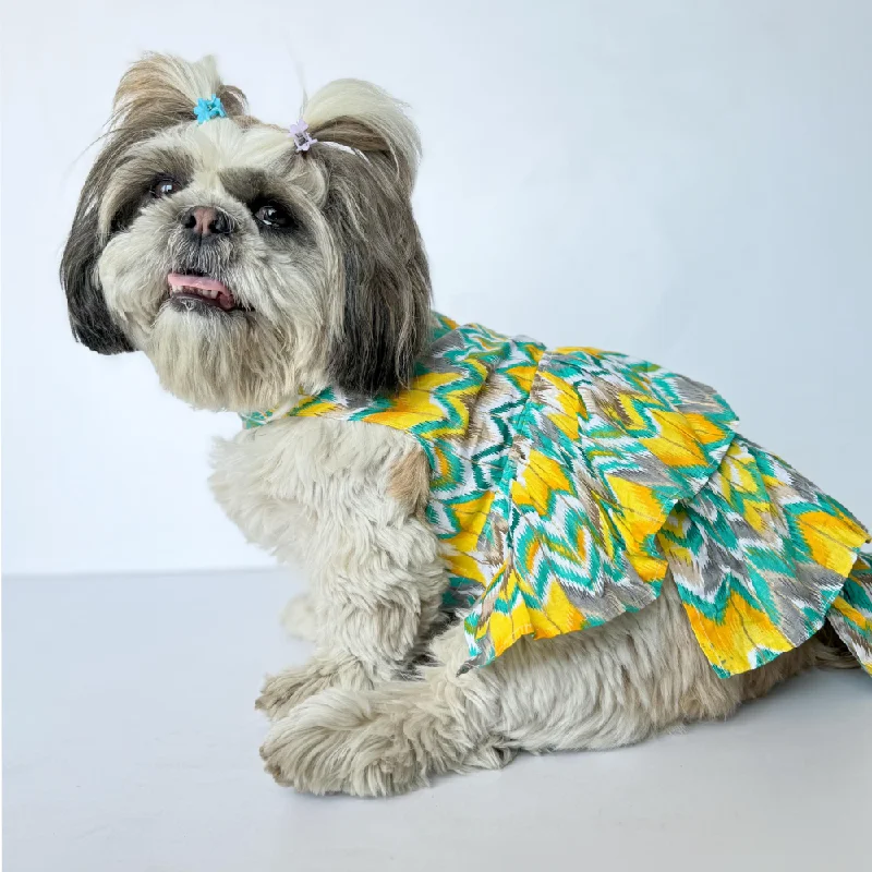 Pawgypets Zig Zag Dress for Dogs and Cats (Green)