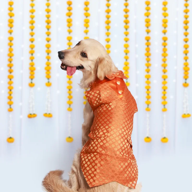 Pet Set Go Kurta with Bowtie  for Dogs (Orange)