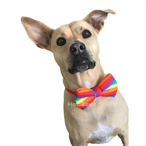 Pride Bow Tie