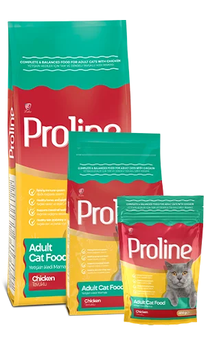 PROLINE Complete and Balanced Chicken Cat Food for Adult Cats 1.2KG