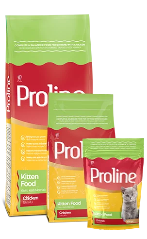 PROLINE Complete and Balanced Chicken Cat Food for Kittens 1.2KGX14BAG CTN