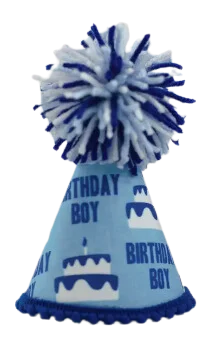 Pup Party Hats Birthday Boy Blue Ink Party Hat L