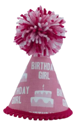 Pup Party Hats Birthday Girl Pink Ink Party Hat XS