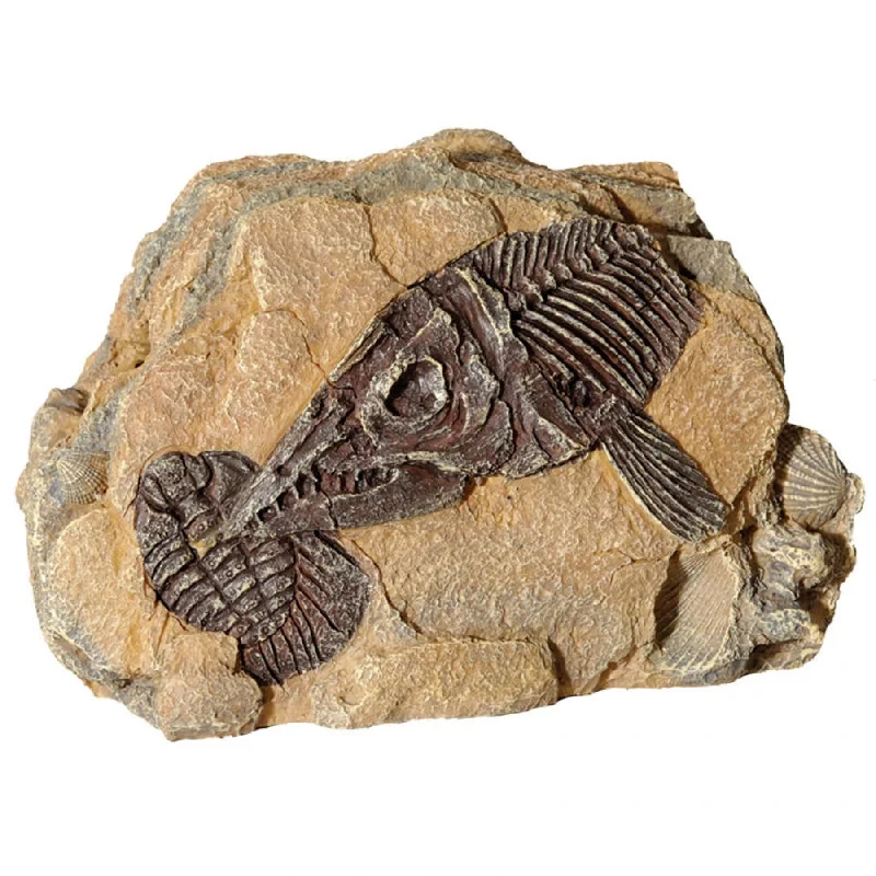 Reptile One Ornament Fossil Ichthyosuar Rock*