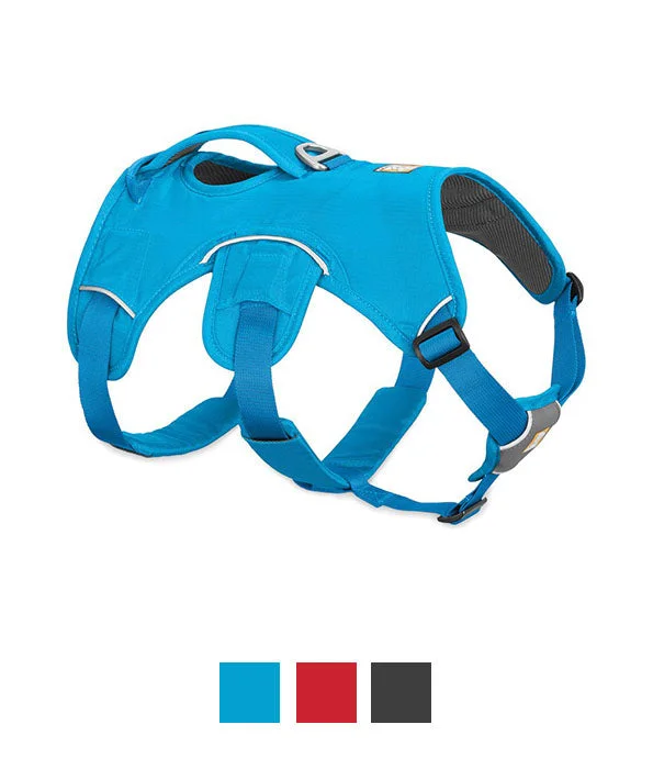 Ruffwear WebMaster Harness - L/XL-BLUE