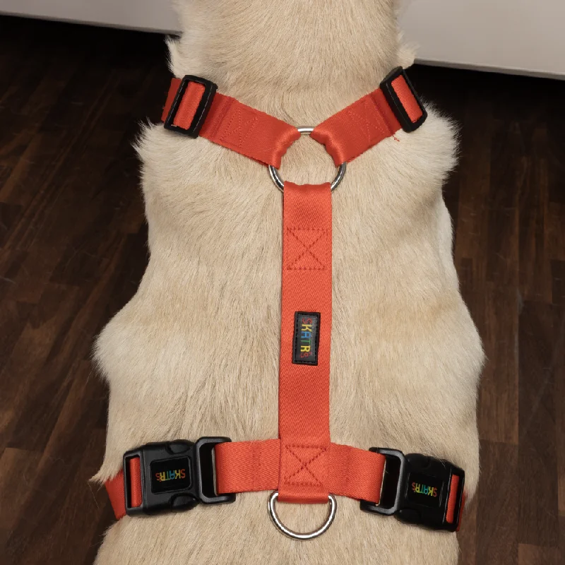 Skatrs Premium H Harness for Dogs (Coral Red)