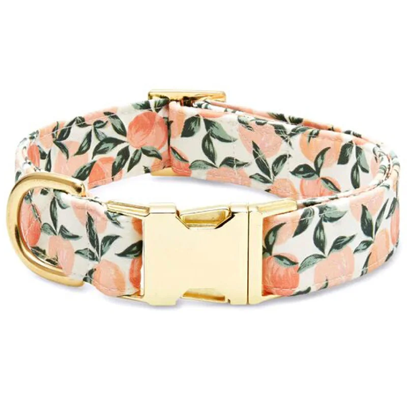 The Foggy Dog Peaches and Cream Dog Collar