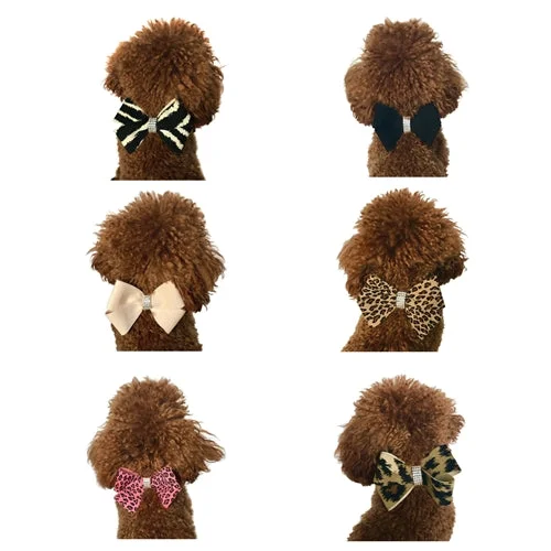 Westminster Grand Champion Collar Slider in Many Styles