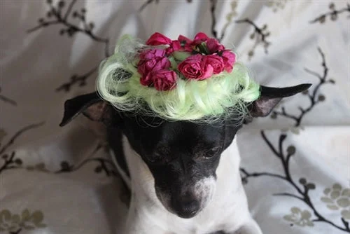 Wig with Flowers