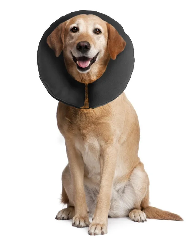 ZenDog Inflatable Zen Collar